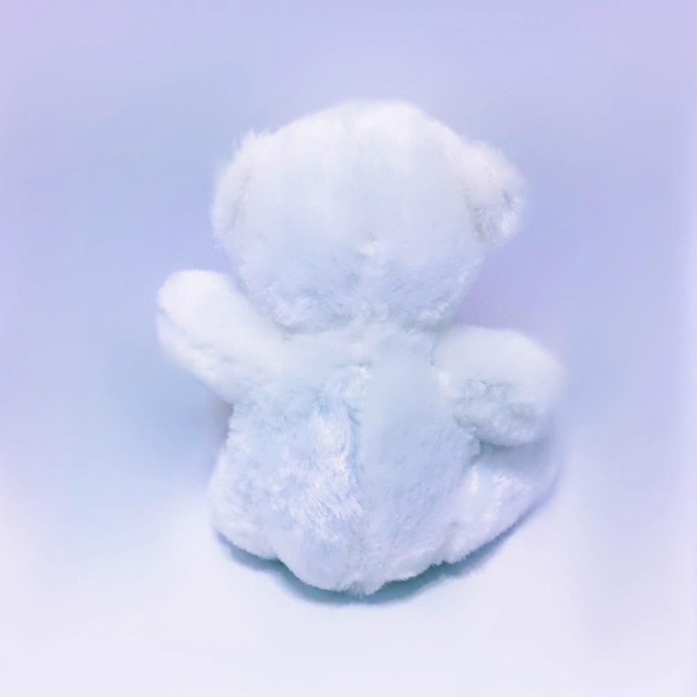 Sevimli İki Kalpli Peluş Ayıcık Küçük Boy 20 cm