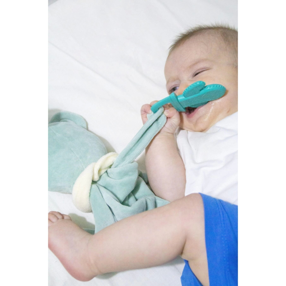 Yeşil Diş Kaşıyıcı Uyku Arkadaşım