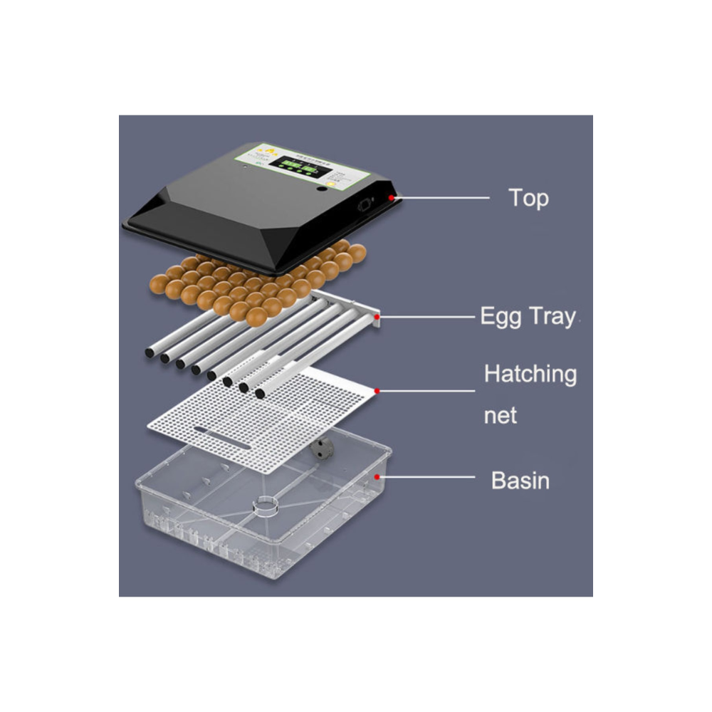 60 Tavuk Yumurtalık Tam Otomatik Kuluçka Makinesi Silindir Viyollü Kaz Ördek Bıldırcın Için Uygun