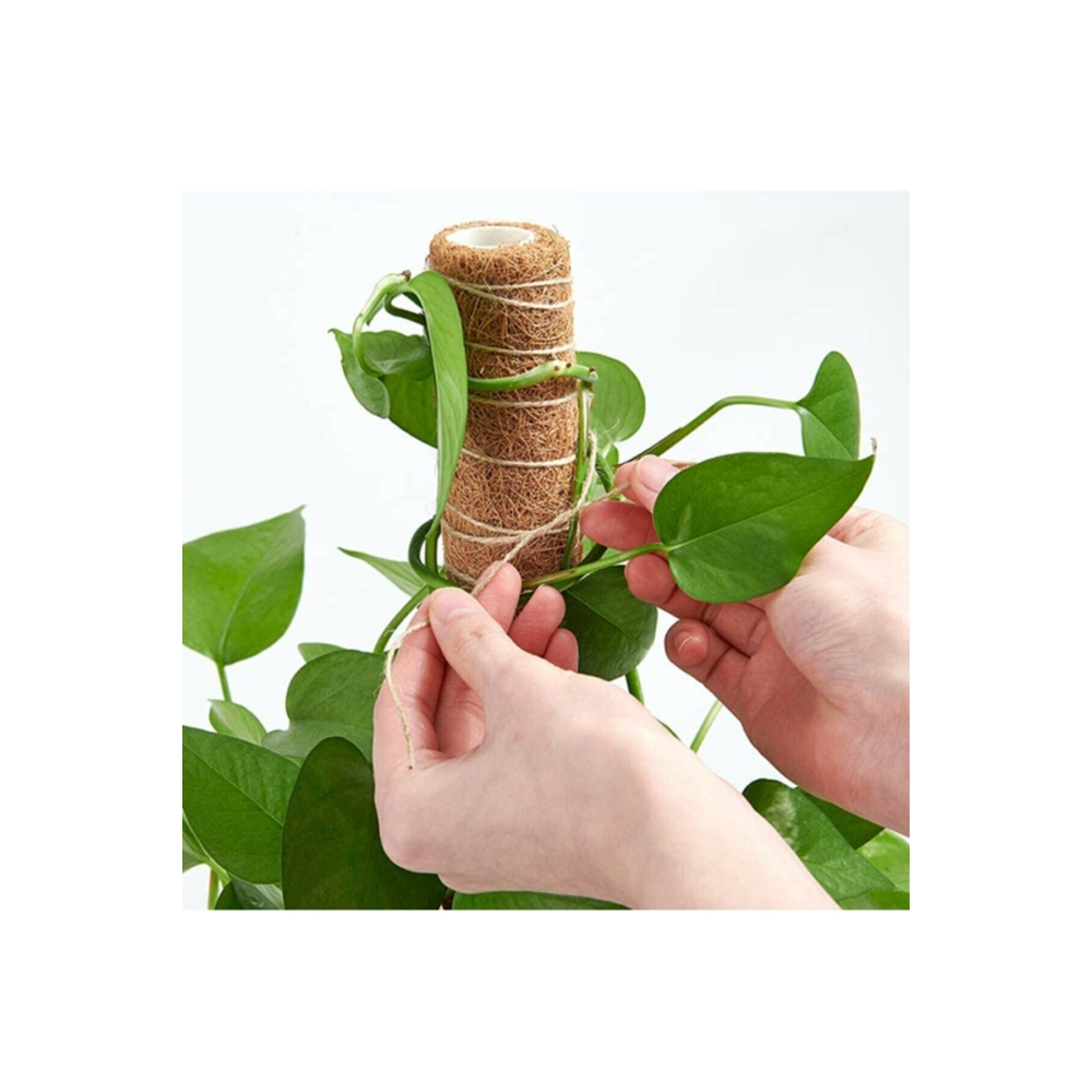 Koko Sarmaşık Destek Çubuğu 90 Cm Yeni Ürün