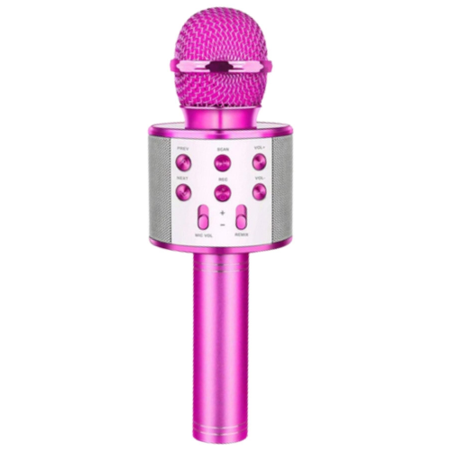 Karaoke Mikrofon Bluetooth Aux Usb Sd Kart Girişli (WS-858)