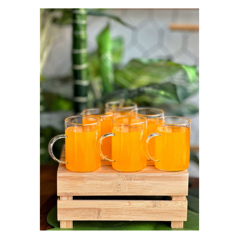 6 Adet Borosilikat Isıya Dayanıklı Termısıl Cam Kupa Bardak 200 ml