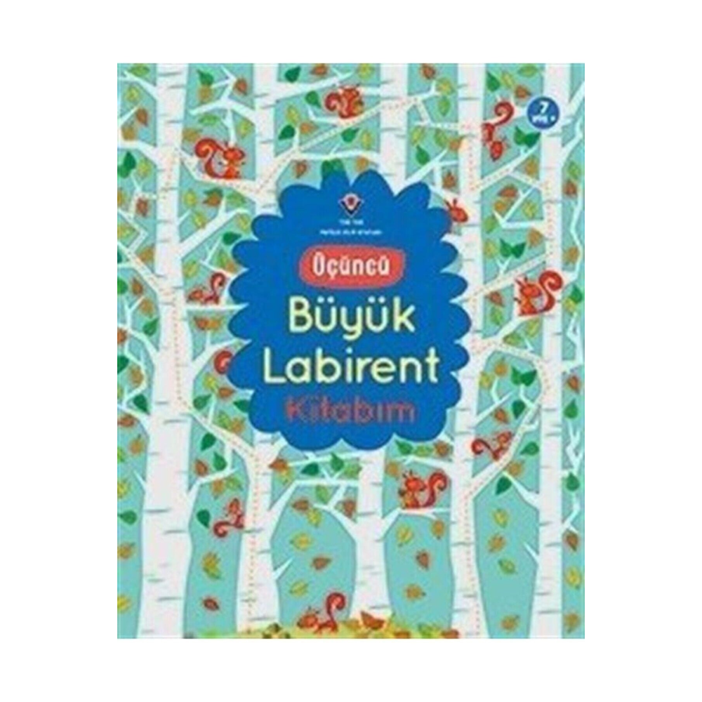 Üçüncü Büyük Labirentim - Kristeen Robson