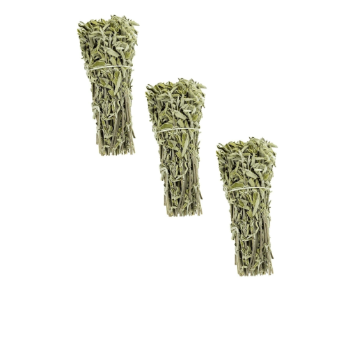 Dağ Mahsulü Taze Adaçayı 3 Demet