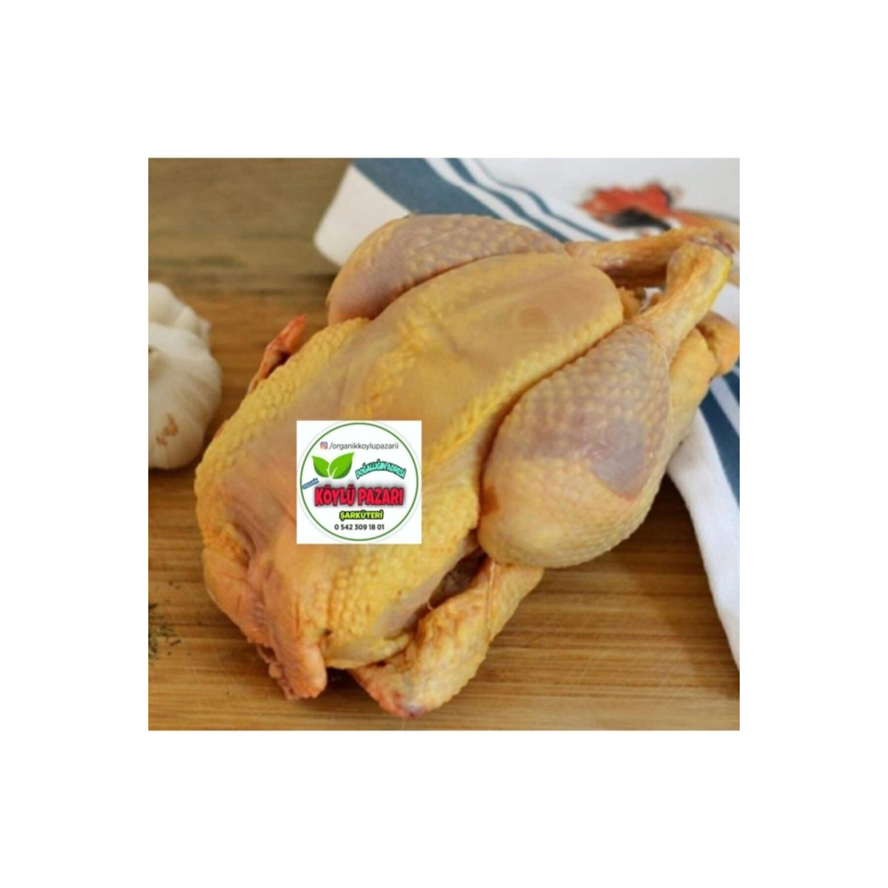 3 Adet Serbest Gezen Köy Tavuğu