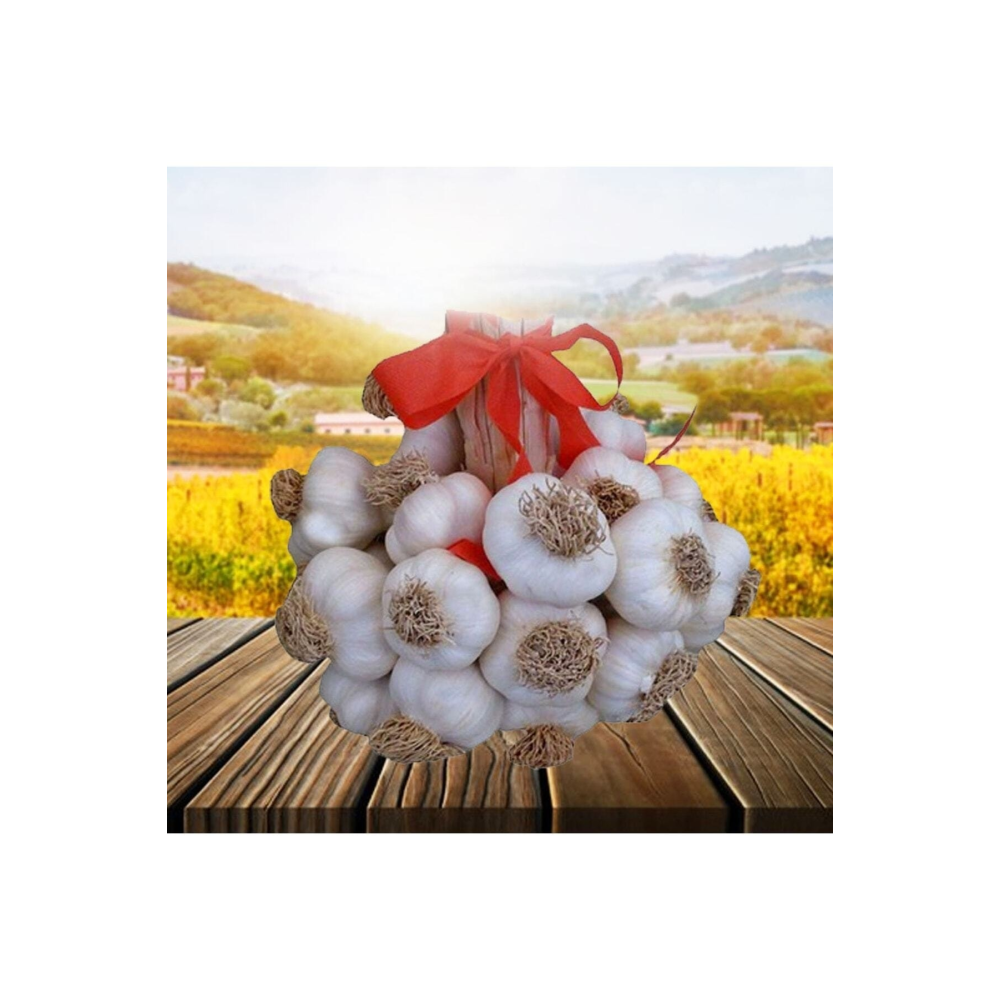 Sarımsak Orta Iri Boy(2 Kg)