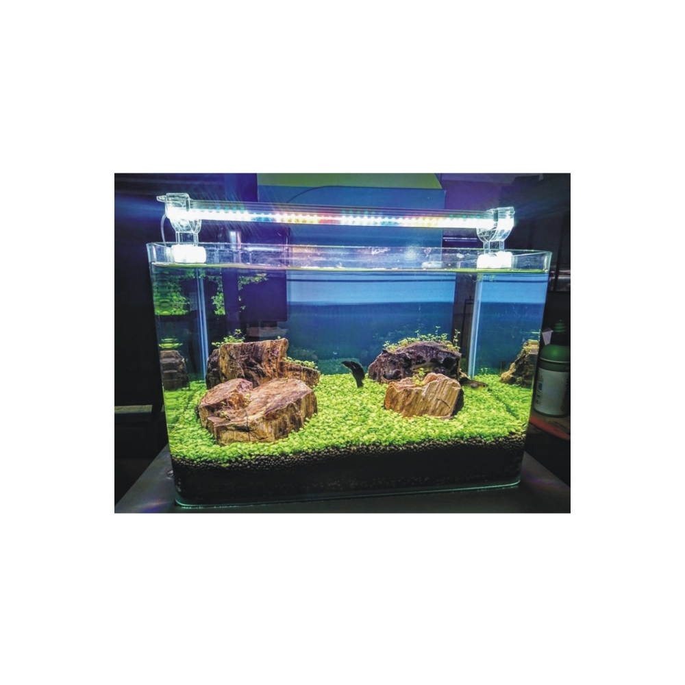 - Full Spectrum Bitkili Akvaryum Led Aydınlatma 4 Renk - 50cm