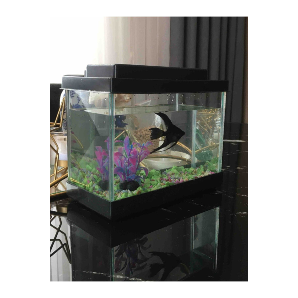 Ibrahimli Petshop Akvaryum Aksesuarli Siyah 20 Cm 4 Litre