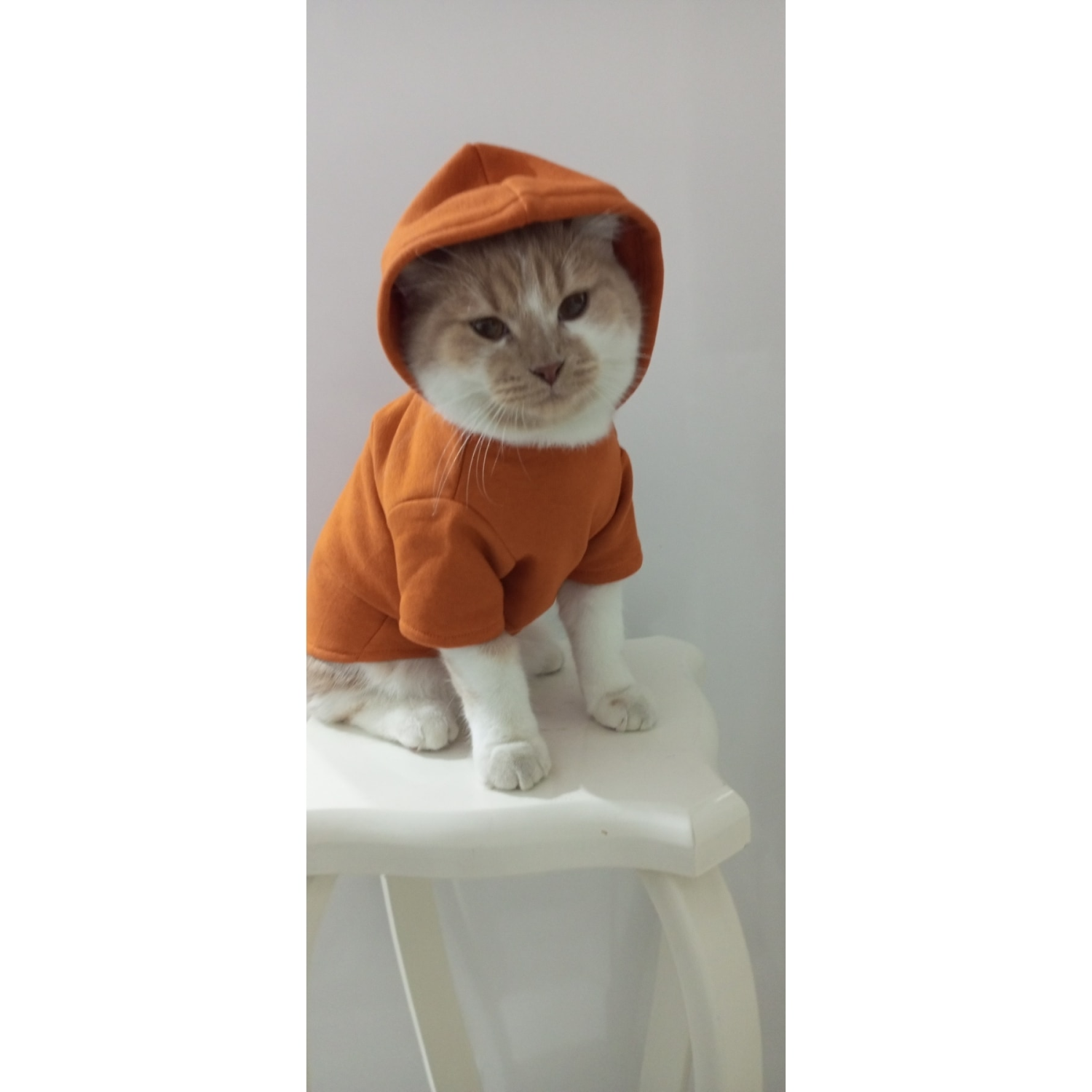 Tuğba Fashion Kışlık Yeni Sezon Kapşonlu Sweatshirt (M) Beden (2-4) Kg Için Uygundur