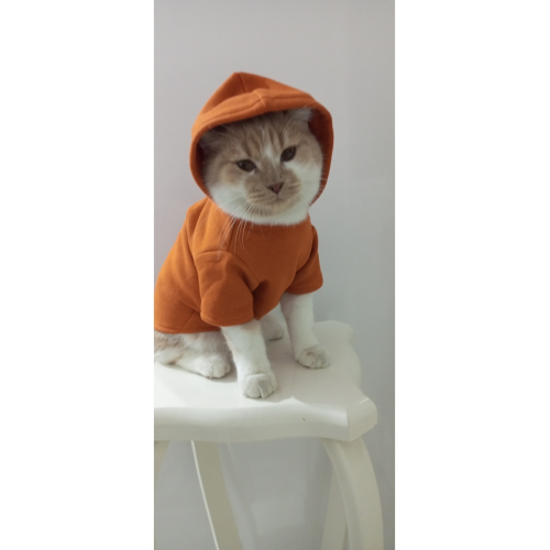 Tuğba Fashion Kışlık Yeni Sezon Kapşonlu Sweatshirt (M) Beden (2-4) Kg Için Uygundur