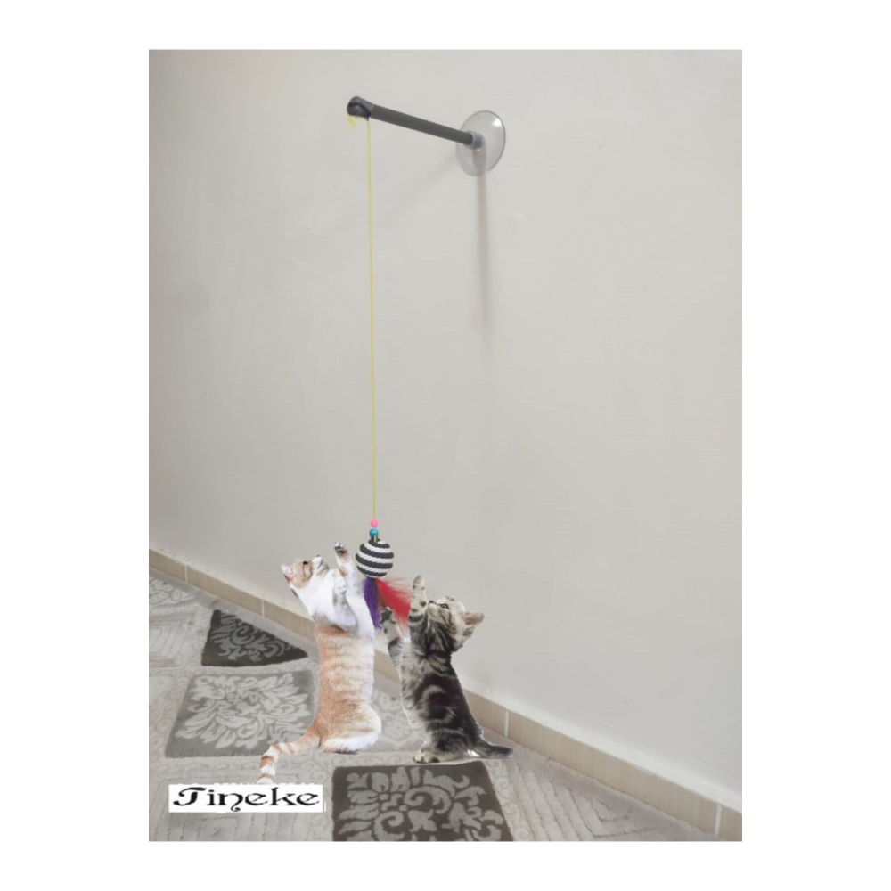 Vantuzlu Kedi Oltası Kedi Oyuncağı