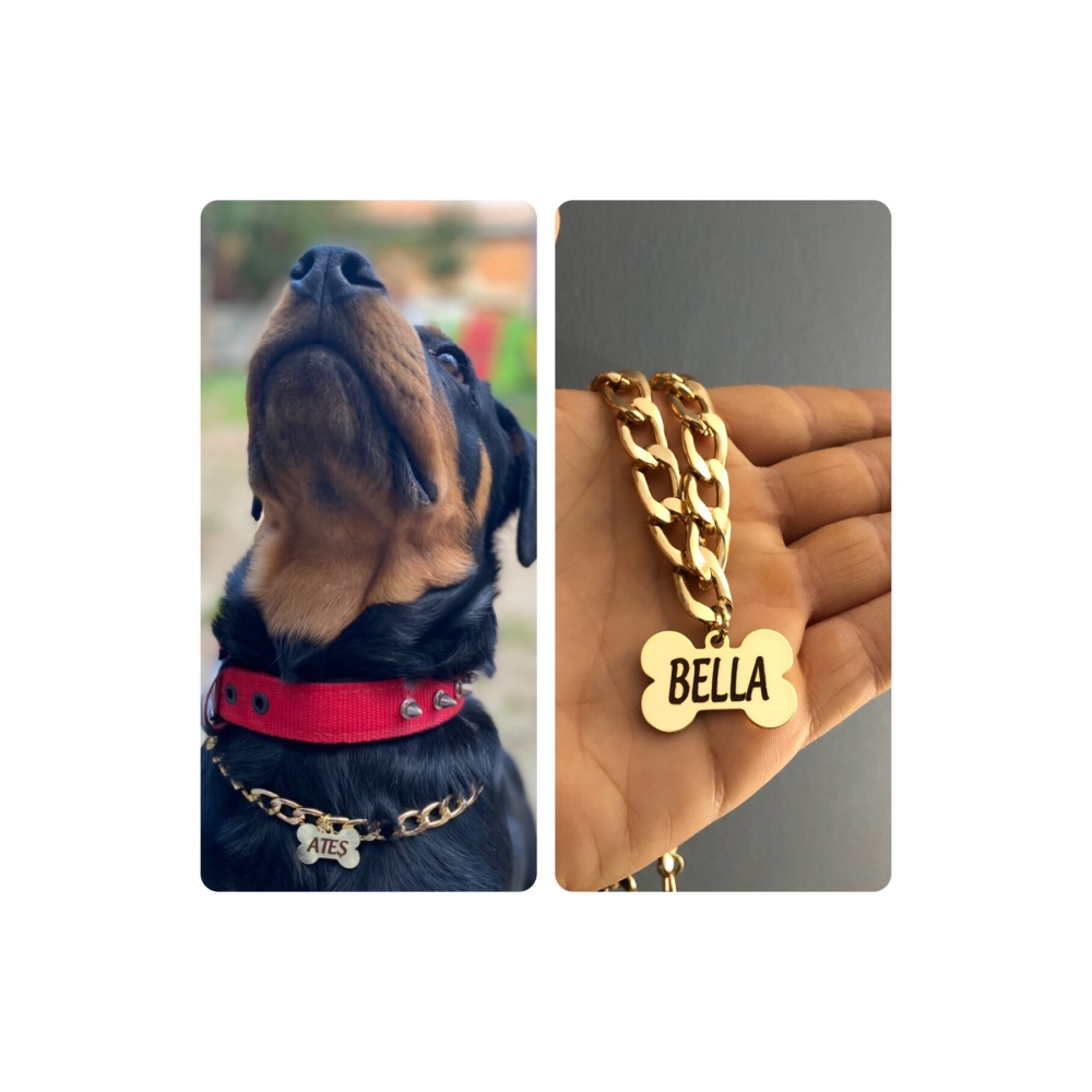 Isimli Köpek Tasması Köpek Isimlik Künye Zincir Paslanmaz
