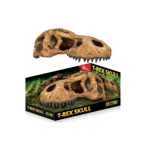 Pt2859- Trex Kafatası Şekilli Sürüngen Yuvası