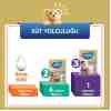 Bebelac Gold 3 Çocuk Devam Sütü 350 G