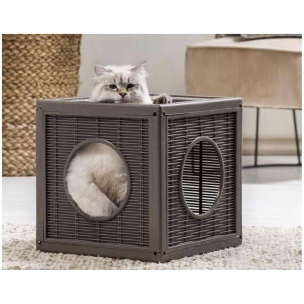 Bama Qublo Kedi Oyun Kübü