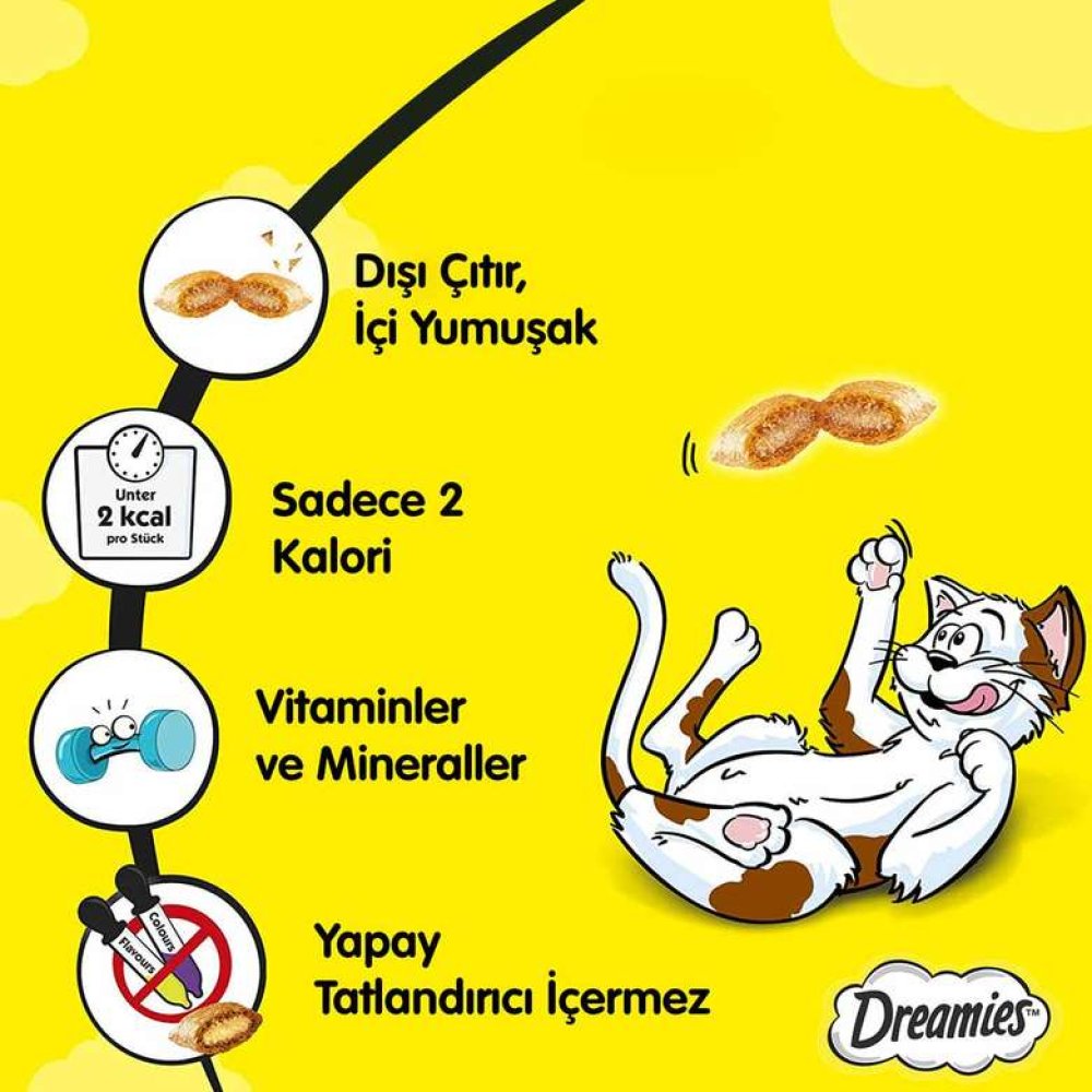 Dreamies Somonlu Kedi Maması 60 G