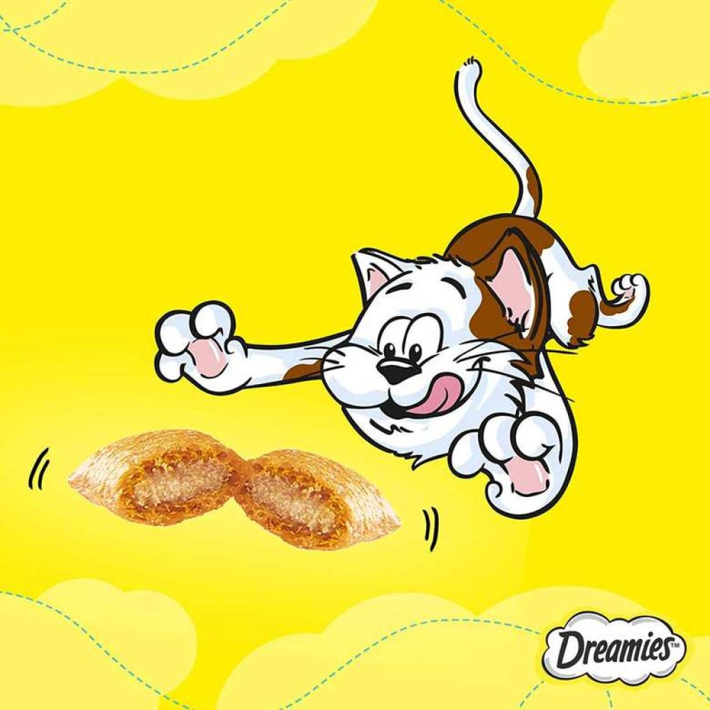 Dreamies Somonlu Kedi Maması 60 G