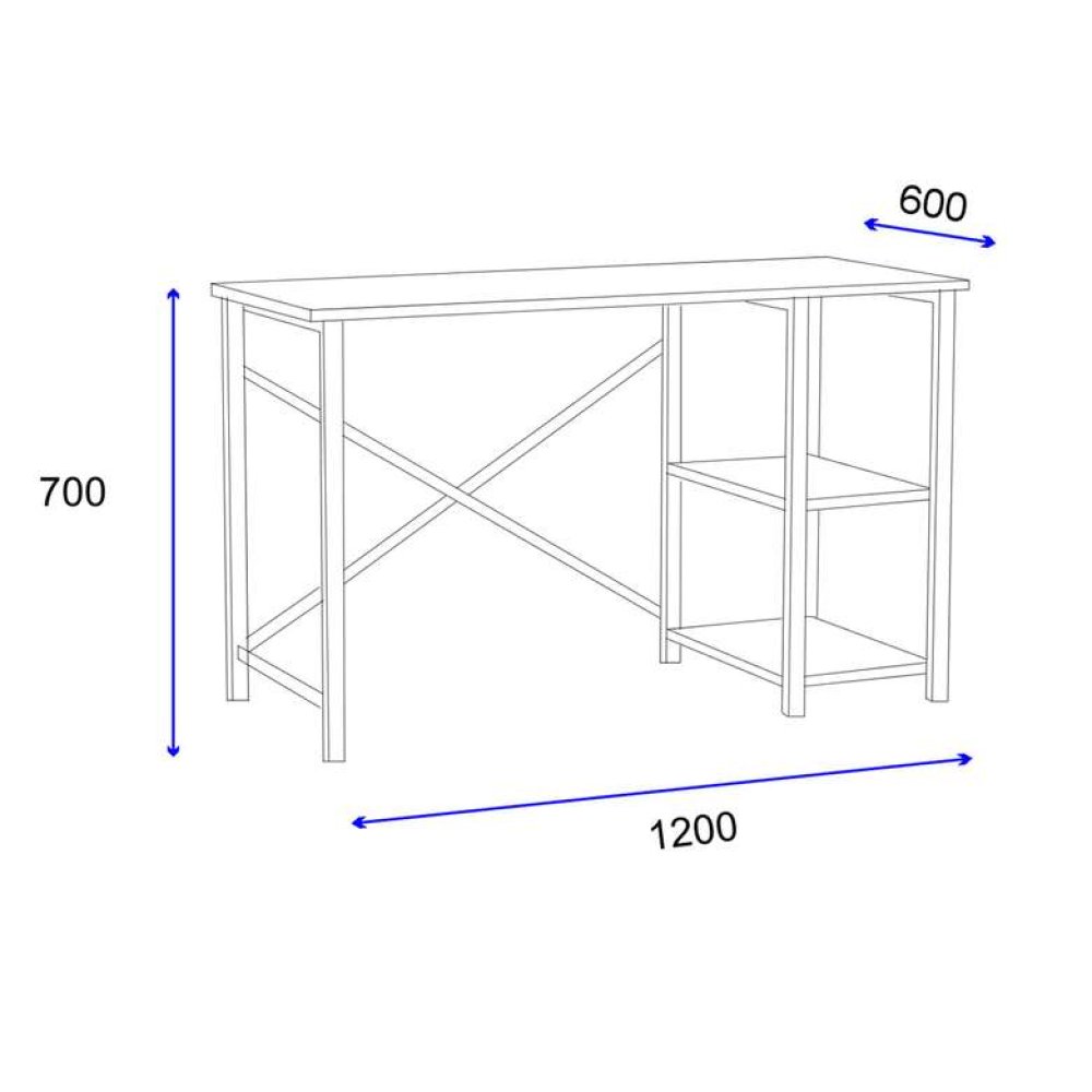 Tiamob Arizona Çalışma Masası