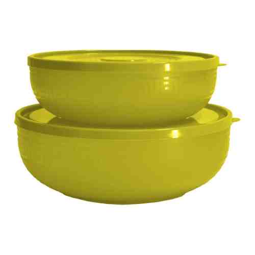 Antik Kase 2'Li Set Sarı