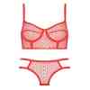 Silk & Blue Kadın Tüllü Sütyen-Slip Takımı Kırmızı