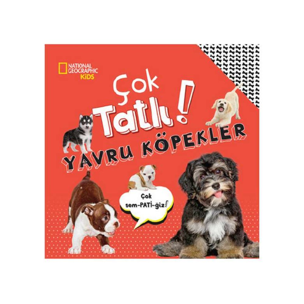 Ng Kids Çok Tatlı Yavru Köpekler Çocuk Kitabı