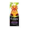 Cappy Meyve Nektarı Karışık 200 Ml