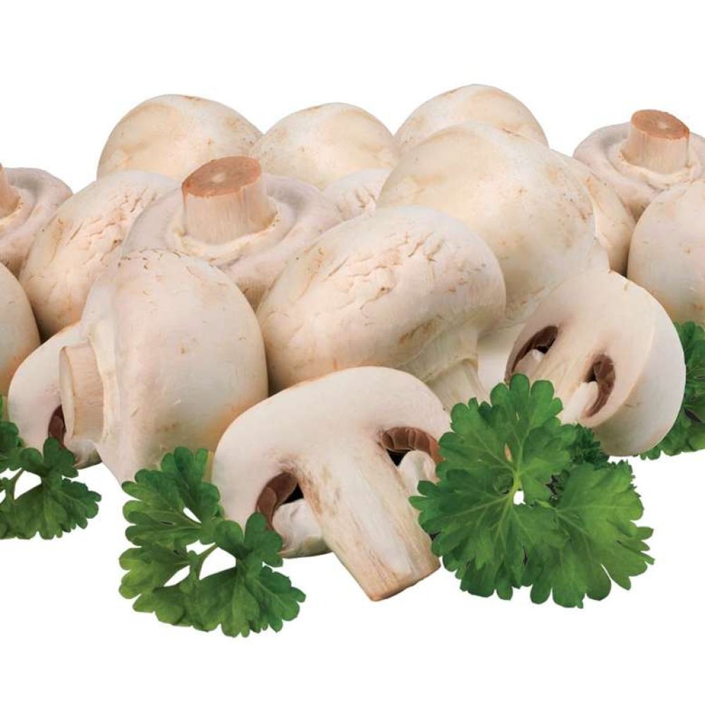 Mantar Tabak - 300 G