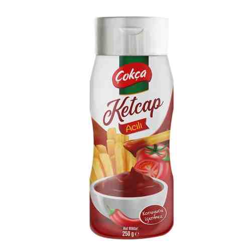 Çokça Ketçap Acı 250 G