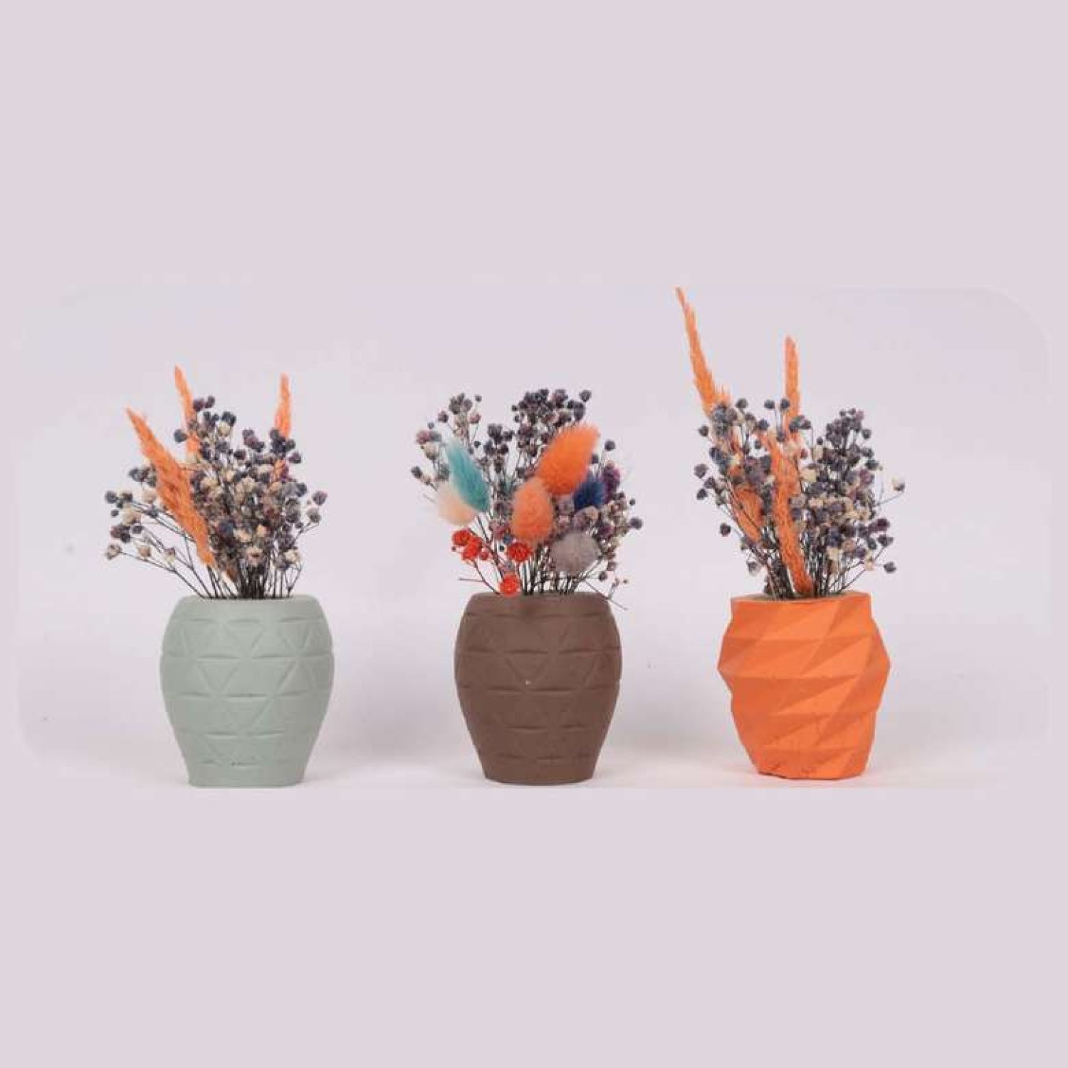 Mini Saksıda Kuru Çiçek 3'lü