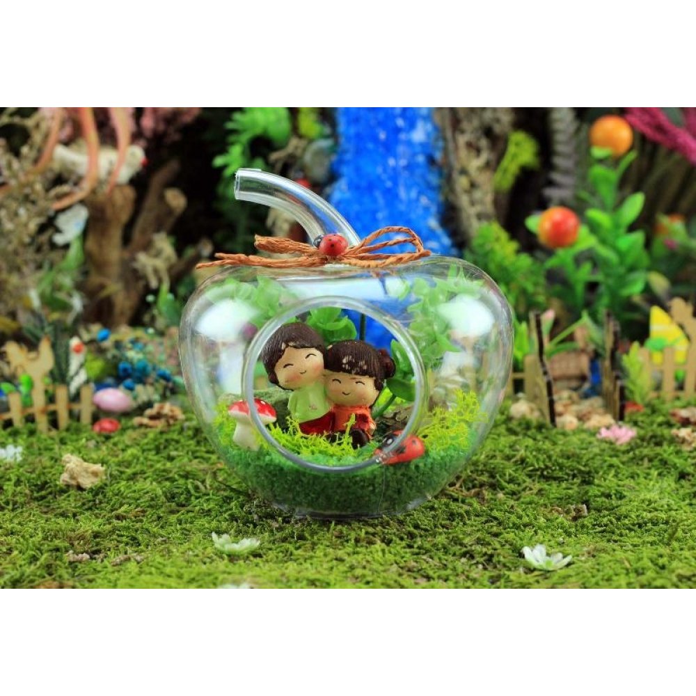 Elma Şeklinde Teraryum Fanus