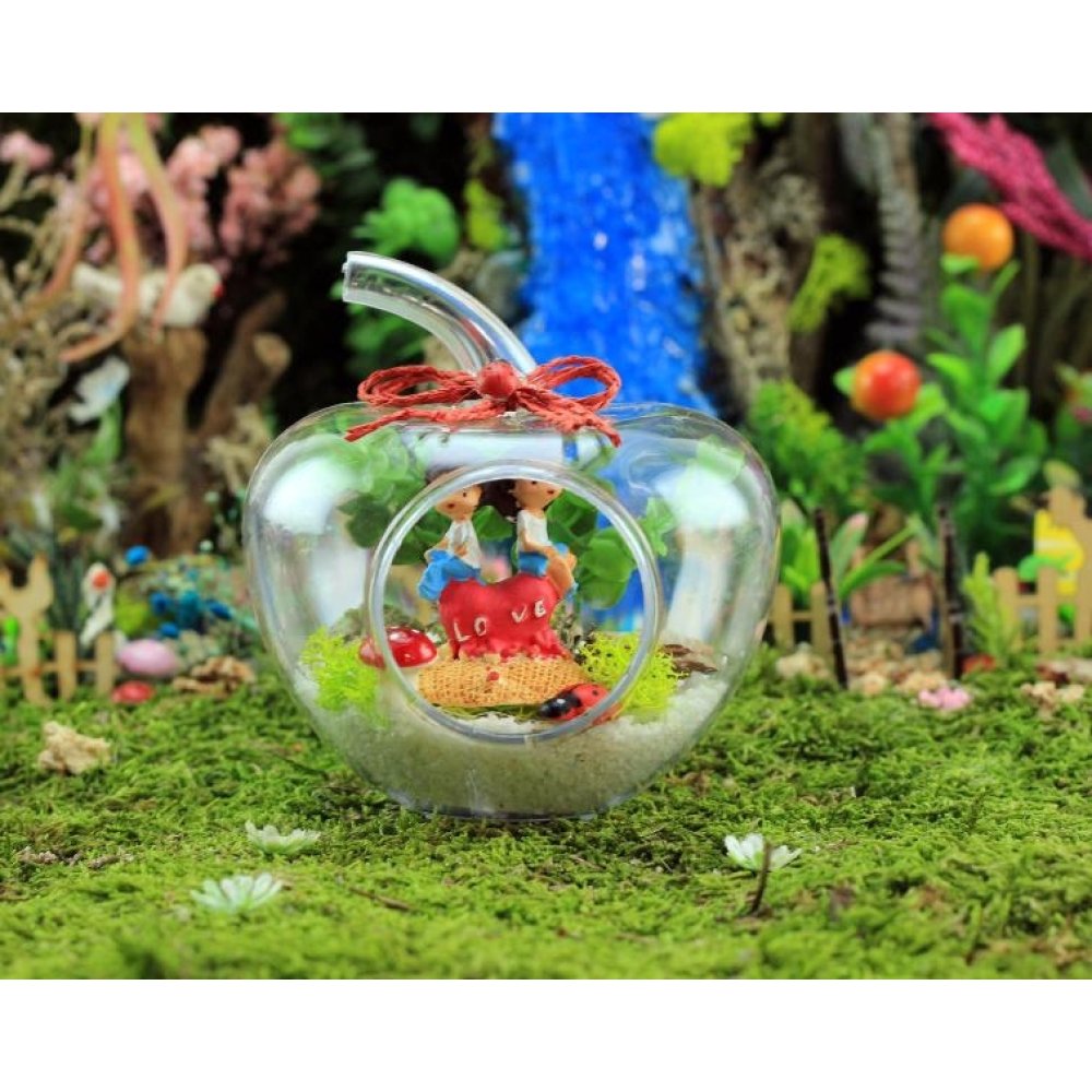 Elma Şeklinde Teraryum Fanus