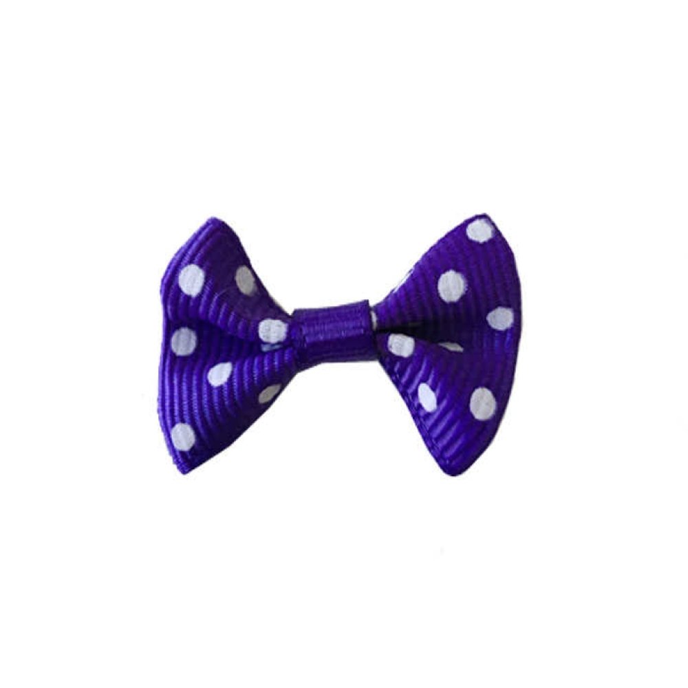 FİYONK PAPYON PUANLI MOR 3.5*2.5cm P100-150