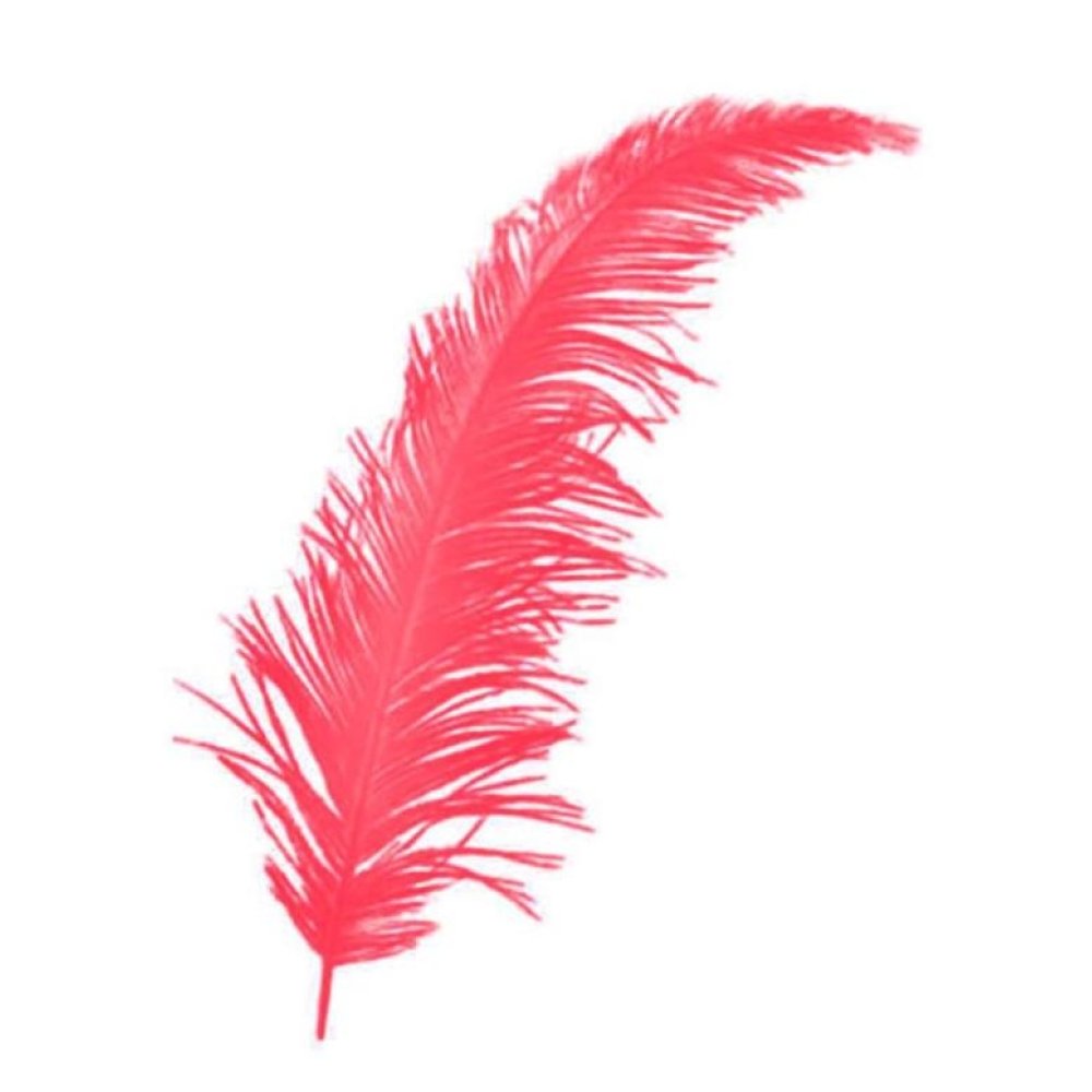 Toptan Bebek ve Nikah Şekeri Süs Malzemesi Renkli Tüy 100 adet