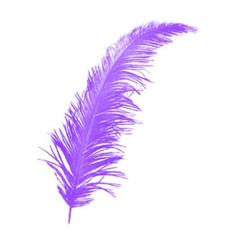 Toptan Bebek ve Nikah Şekeri Süs Malzemesi Renkli Tüy 100 adet