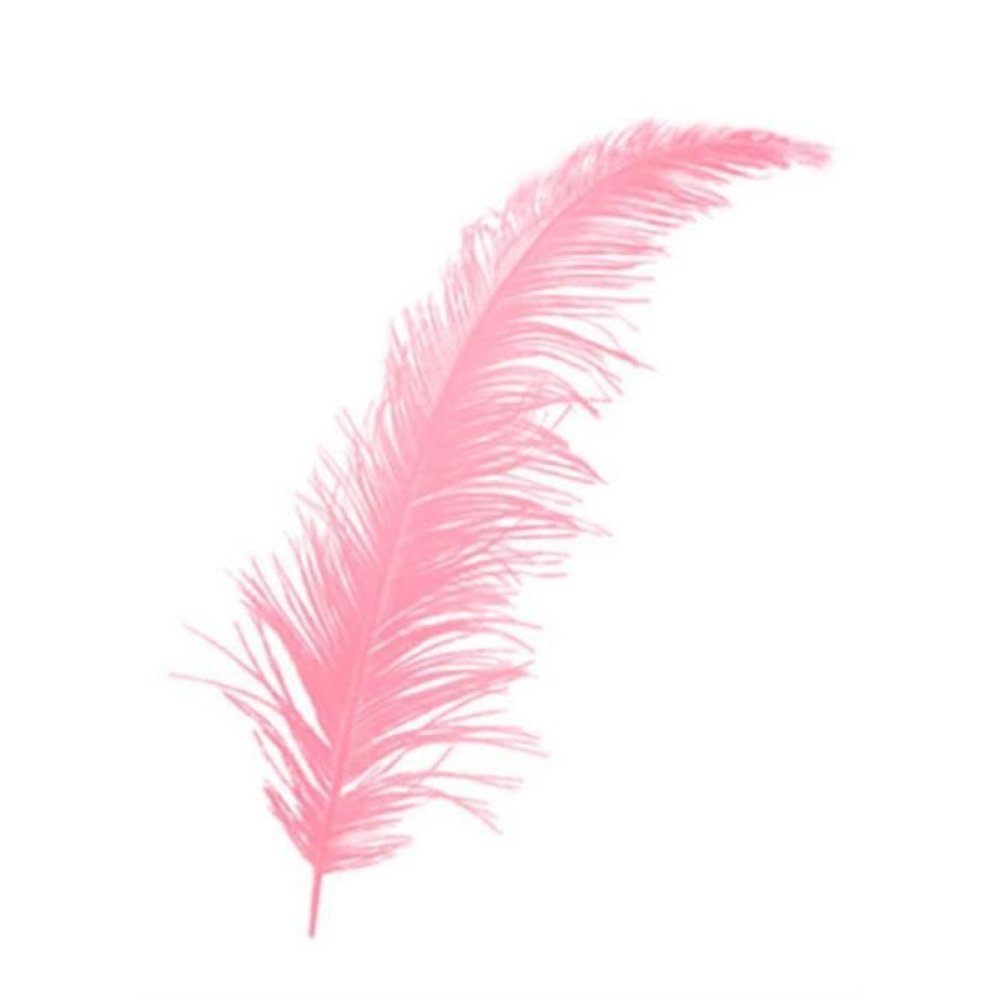 Toptan Bebek ve Nikah Şekeri Süs Malzemesi Renkli Tüy 100 adet