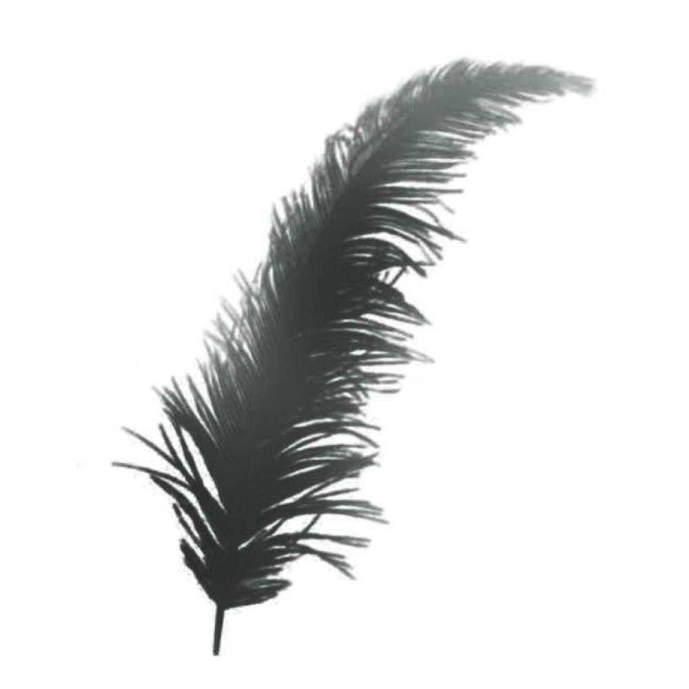 Toptan Bebek ve Nikah Şekeri Süs Malzemesi Renkli Tüy 100 adet