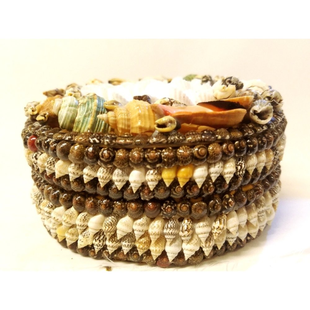 Toptan Deniz Kabuklu Dekoratif Kutu