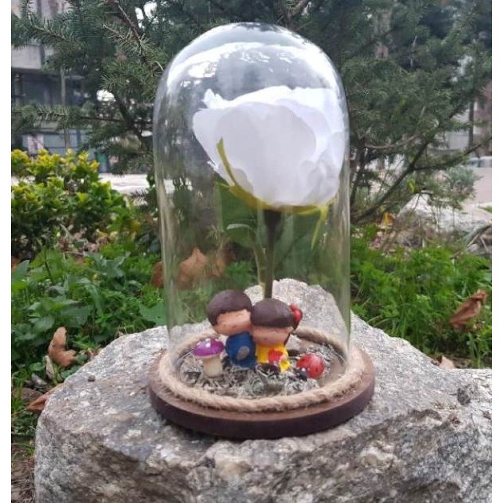 Toptan Fanus İçinde Sevgili Biblosu