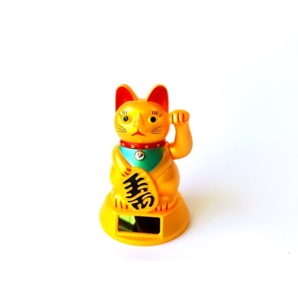 Toptan Güneş Enerjisi İle Pati Sallayan Bereket Kedi