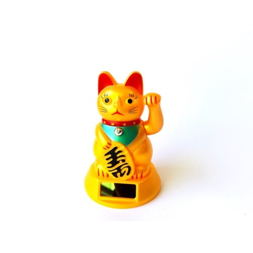 Toptan Güneş Enerjisi İle Pati Sallayan Bereket Kedi