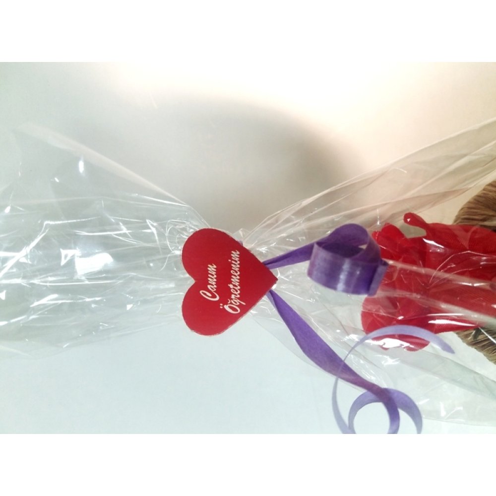 Toptan Hediyelik Öğretmen Gününe Özel Saksılı Yapay Gül