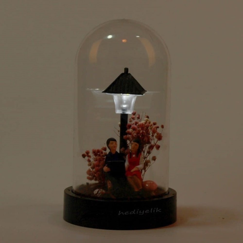 Toptan Işıklı Fanus İçerisinde Sevgili Biblo