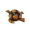 Toptan Kafa Sallayan Ahşap Kaplumbağa Biblo