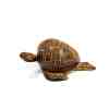 Toptan Kafa Sallayan Ahşap Kaplumbağa Biblo