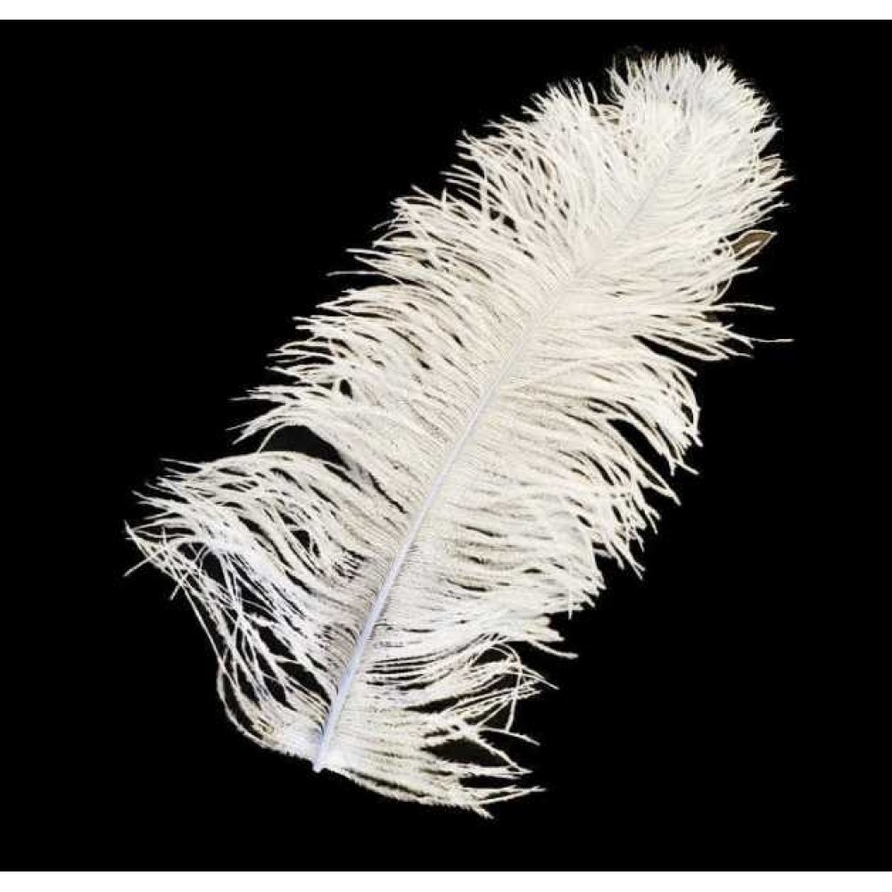 Toptan Nikah Kalemi İçin Büyük Tüy