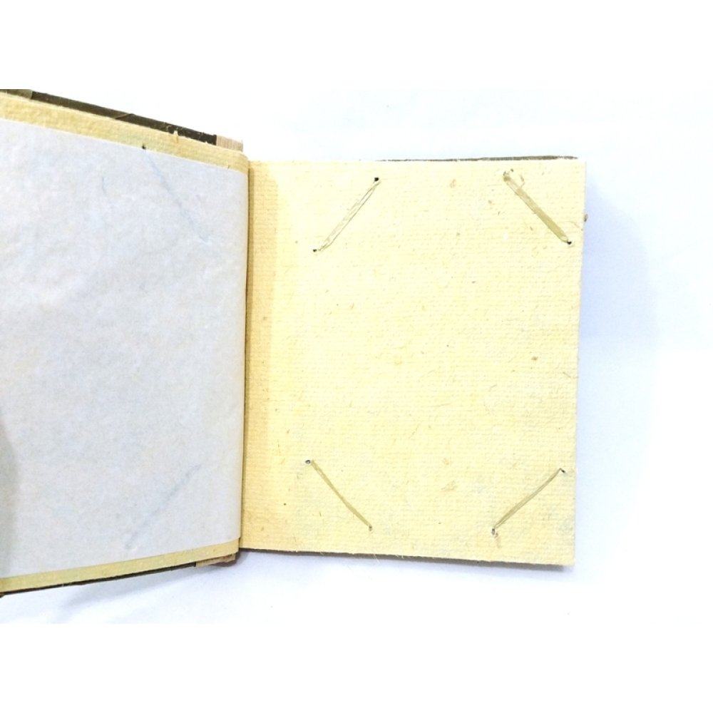 Toptan Papirüs Yapraklı Fotoğraf Albümleri