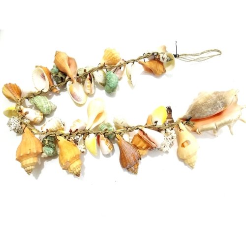 Toptan Renkli Deniz Kabuklu Bereket Duvar Süsü