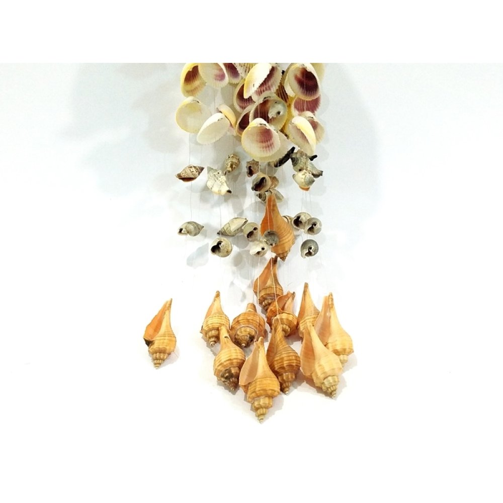 Sedefli Deniz Kabuklarından Rüzgar Çanı