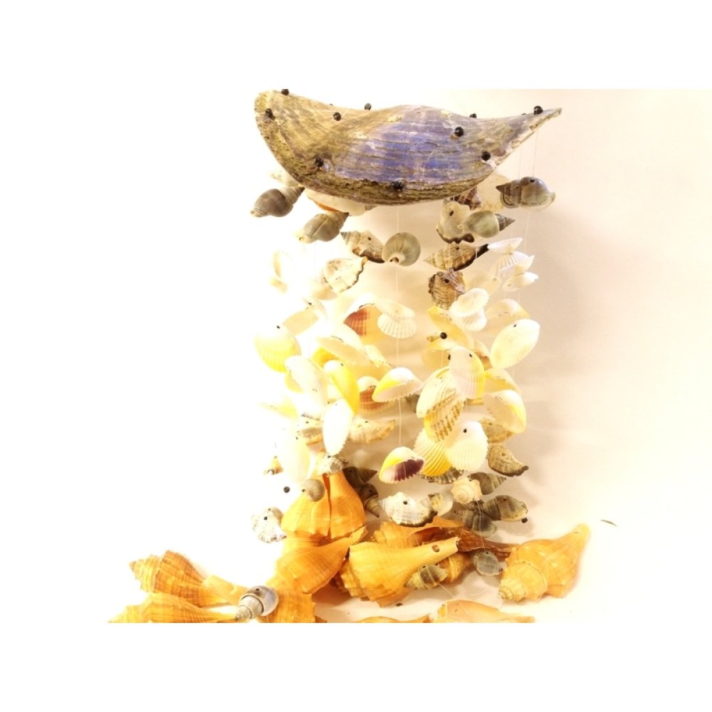 Sedefli Deniz Kabuklarından Rüzgar Çanı