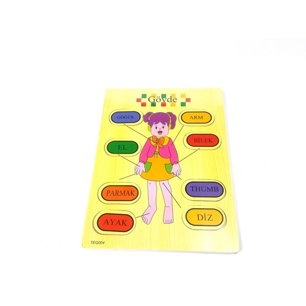 Toptan Yüz Bölgelerini Öğretici Puzzle